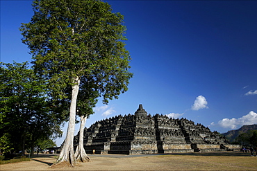 View of the temple of Borobudur, UNESCO World Heritage Site, Java, Indonesia, Southeast Asia, Asia