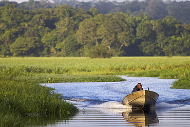 A fisherman in the everglades of Kaw, French Guiana, South America