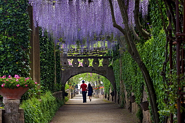 The gardens of the Villa Cimbrone in Ravello, Amalfi coast, UNESCO World Heritage Site, Campania, Italy, Europe