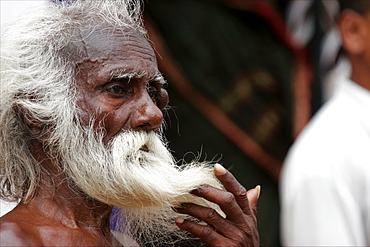 Pilgrim at the public bath in Tanjore, Tamil Nadu, India, Asia