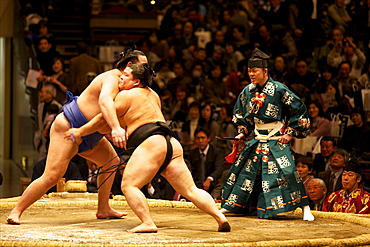 Two sumo wrestlers fighting at the Kokugikan stadium, Tokyo, Japan, Asia