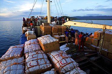 Lake Tanganyika, Tanzania, East Africa, Africa