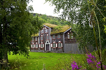 Wooden houses, Trondheim, Norway, Arctic, Scandinavia, Europe