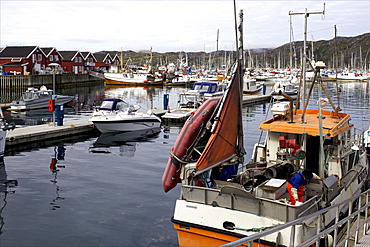 Trondheim harbor, Trondheim, Norway, Scandinavia, Europe