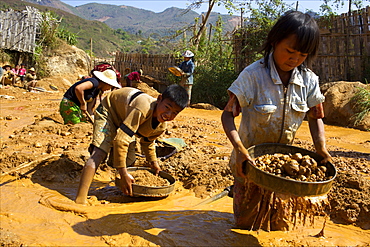 Boys searching for ruby stones in Mogok mining sites, Myanmar (Burma), Asia