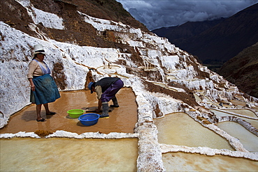 Family working in the Salinas de Maras, Sacred Valley, Peru, South America