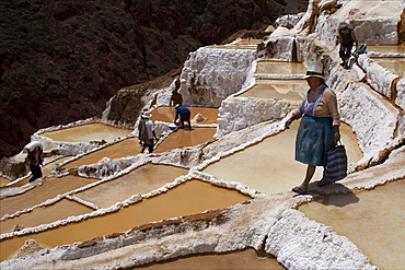 People working in the Salinas de Maras, Sacred Valley, Peru, South America