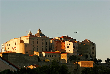 Calvi, Corscia, France, Europe