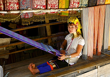 A Padaung girl in the area of Doi Tung, in the Golden Triangle, Thailand, Southeast Asia, Asia