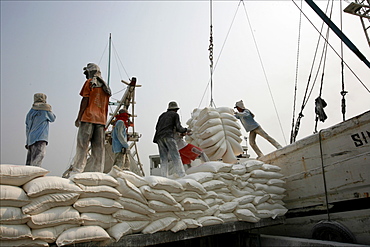 Unloading quicklime, Sunda Kelapa, harbour of Jakarta, Java, Indonesia, Southeast Asia, Asia