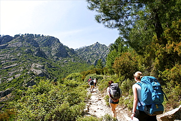 The Tavignanu Canyon in the center of the island, Corsica, France, Europe