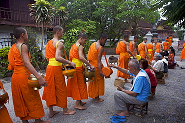 Monks during the dawn procession for food in the streets in Luang Prabang, Laos, Indochina, Southeast Asia, Asia