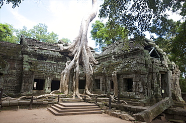 The Ta Prohm temple taken by the jungle in Angkor, UNESCO World Heritage Site, Siem Reap, Cambodia, Indochina, Southeast Asia, Asia