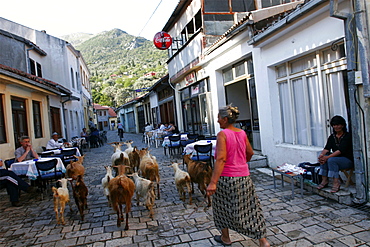 A small village on Lake Skadar, at the Albanian border, Montenegro, Europe