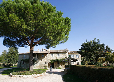 The agriturismo Pian del Tevere, close to Torgiano, Umbria, Italy, Europe