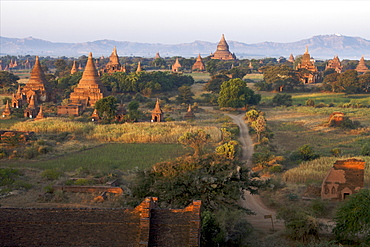 Evening view of the temples of Bagan, Myanmar (Burma), Asia