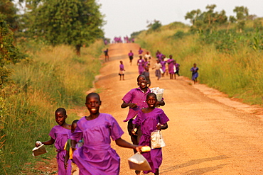 Pupils in uniform going to school with notebooks in plastic bags, in the area of Kisoro, near the Rwanda border, Uganda, East Africa, Africa