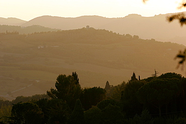 The landscape at dawn around Todi, Umbria, Italy, Europe