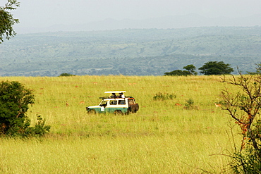 Safari in the Murchison Falls National Park, Uganda, East Africa, Africa