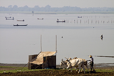 View of the U Bein lake from the teak bridge, Amarapura, Mandalay, Myanmar (Burma), Asia