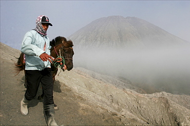 Horse and rider on the way to the top of the Bromo volcano, in the background the small Batok volcano, Tengger's caldera, Java, Indonesia, Southeast Asia, Asia