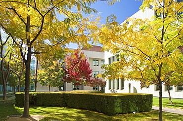 Parliament House of Australia, Canberra, ACT, Australia, Pacific