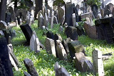 Headstones, Jewish Cemetery, Jewish Quarter, Prague, Czech Republic, Europe