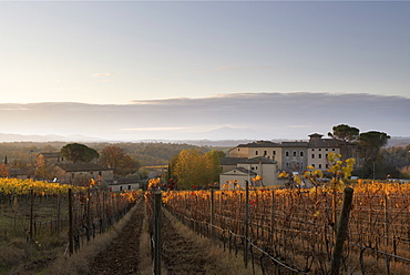 Autumn mist over the vineyards, Castelnuovo Berardenga, Tuscany, Italy, Europe