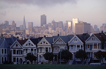 Steiner Street, San Francisco, California, United States of America, North America