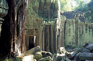 Temple in the jungle, Ta Prohm, Angkor, UNESCO World Heritage Site, Siem Reap, Cambodia, Indochina, Southeast Asia, Asia