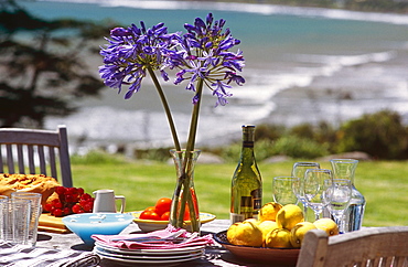 Ahu Ahu Eco Beach Villa, Oakura, Taranaki, New Zealand, Pacific