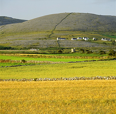 The Burren, County Clare, Munster, Republic of Ireland, Europe