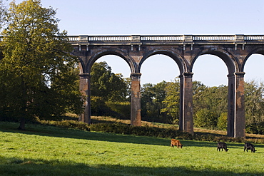 Balcombe Viaduct, Sussex, England, United Kingdom, Europe