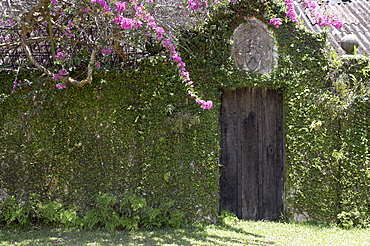 Brief Garden, Sri Lanka, Asia