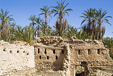 Village ruin, Mides, Tunisia, North Africa, Africa