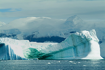 Neko Harbor, Antarctica, Polar Regions