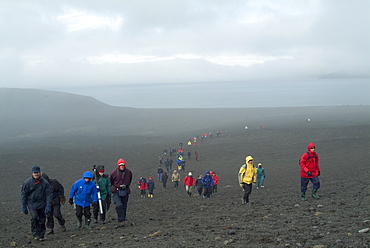 Tourists, Deception Island, Antarctica, Polar Regions