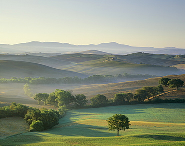 Landscape at dawn, Val d'Orcia, UNESCO World Heritage Site, Tuscany, Italy, Europe