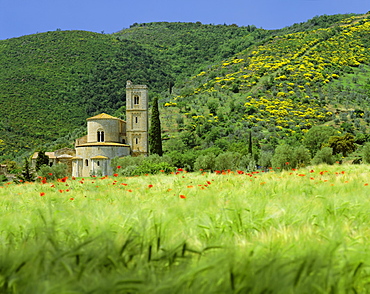 Abbey of Sant' Antimo, near Montalcino, Tuscany, Italy, Europe