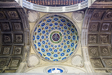 Ceiling detail of dome, Basilica of Santa Croce, Florence, Tuscany, Italy, Europe