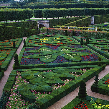 Box hedges, topiary shapes and dwarf dahlias in the Garden of Love, Chateau de Villandry, UNESCO World Heritage Site, Pays de la Loire, France, Europe