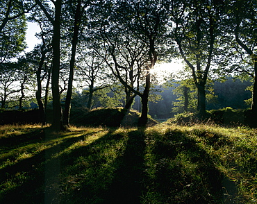 View of the remains of the Iron Age hill fort, Blackbury Camp, Devon, England, United Kingdom, Europe