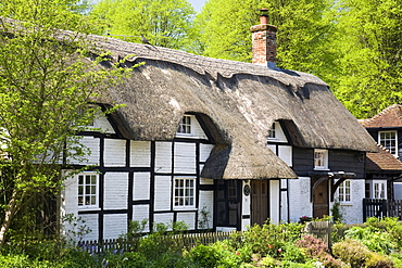 Thatched cottages, Hampshire, England, United Kingdom, Europe