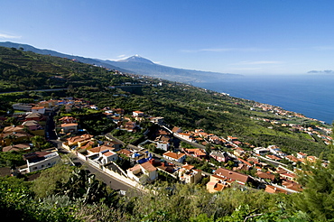 The village of Sauzal with the volcano of El Teide in the distance, Tenerife, Canary Islands, Spain, Europe