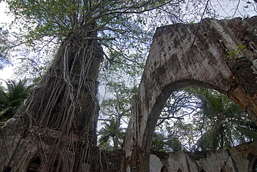 Overgrown destroyed church on Ross Island, formerly known as the Paris of the Indian Ocean, Andaman Islands, India, Asia