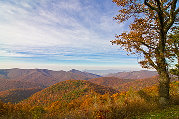 View over the Shenandoah National Park with beautiful foliage in the Indian summer, Virginia, United States of America, North America