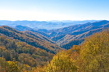 View over valley with colourful foliage in the Indian summer, Great Smoky Mountains National Park, UNESCO World Heritage Site, Tennessee, United States of America, North America