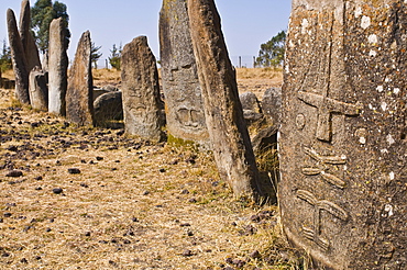 Stone pillars of Tiya, UNESCO World Heritage Site, Ethiopia, Africa