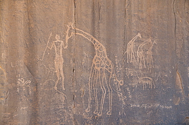 Rock inscription, Tassili n'Ajjer, UNESCO World Heritage Site, Algeria, North Africa, Africa