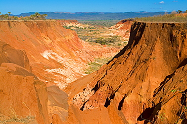 View over the Red Tsingys, sandstone formations, near Diego Suarez (Antsiranana), Madagascar, Africa